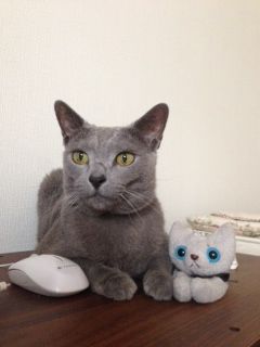 photo20140810