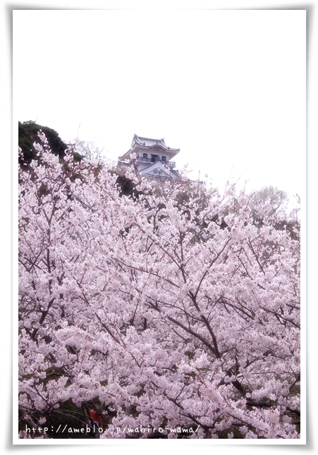 キミと一緒に ～太郎・小太郎・お弁当～