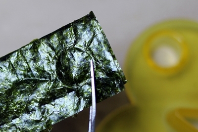 キミと一緒に ～太郎・小太郎・お弁当～