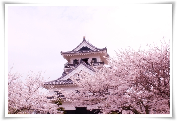 キミと一緒に ～太郎・小太郎・お弁当～