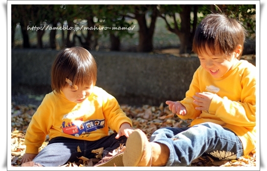 キミと一緒に ～太郎・小太郎・お弁当～