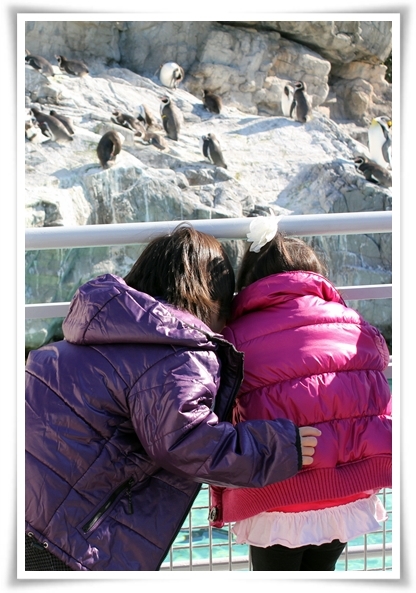 キミと一緒に ～太郎・小太郎・お弁当～