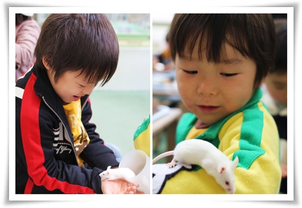 キミと一緒に ~太郎・小太郎・お弁当~