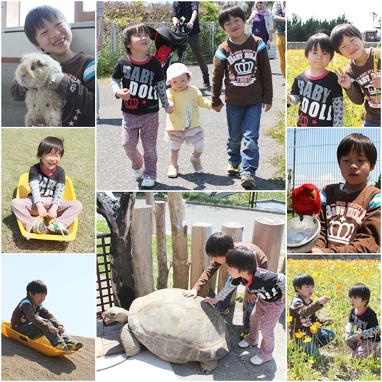 キミと一緒に ～太郎・小太郎・お弁当～