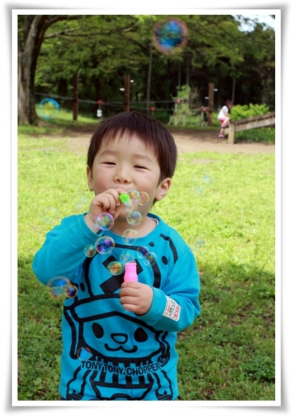 キミと一緒に ～太郎・小太郎・お弁当～