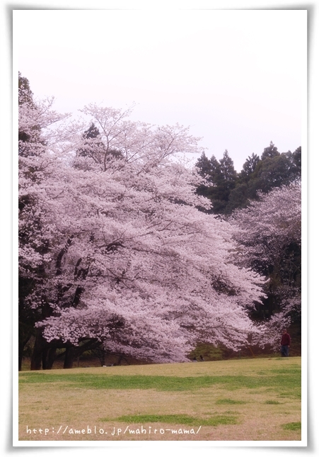 キミと一緒に ～太郎・小太郎・お弁当～