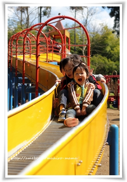 キミと一緒に ～太郎・小太郎・お弁当～