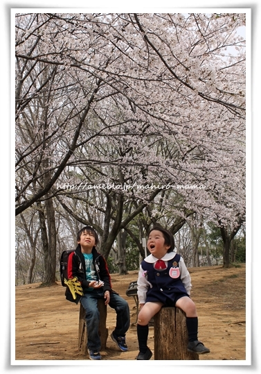 キミと一緒に ~太郎・小太郎・お弁当~