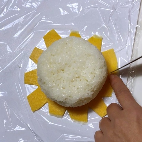 S__16457733