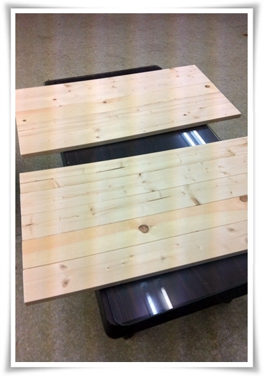 キミと一緒に ～太郎・小太郎・お弁当～