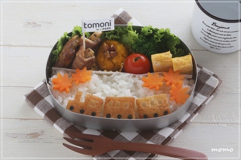 紅葉とトロッコ列車