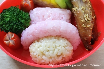 キミと一緒に ～太郎・小太郎・お弁当～