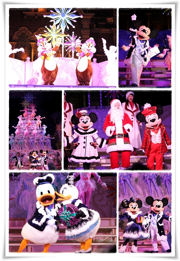 キミと一緒に ～太郎・小太郎・お弁当～