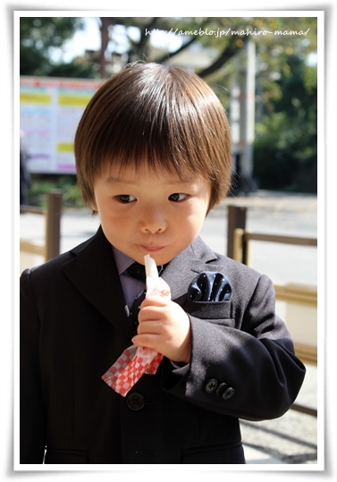 キミと一緒に ～太郎・小太郎・お弁当～