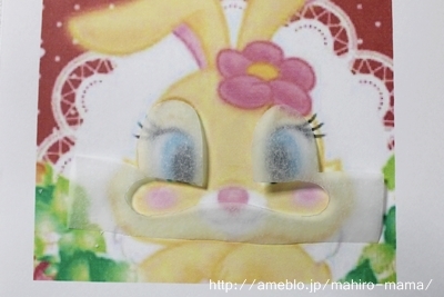 キミと一緒に ～太郎・小太郎・お弁当～