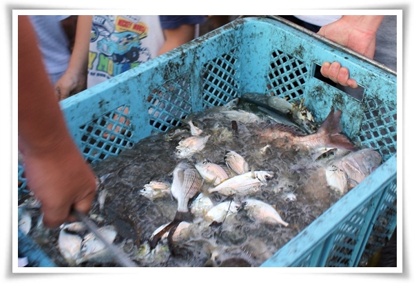 キミと一緒に ～太郎・小太郎・お弁当～