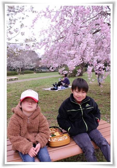 キミと一緒に ~太郎・小太郎・お弁当~