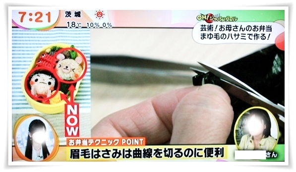 キミと一緒に ~太郎・小太郎・お弁当~