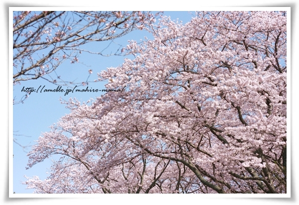 キミと一緒に ～太郎・小太郎・お弁当～