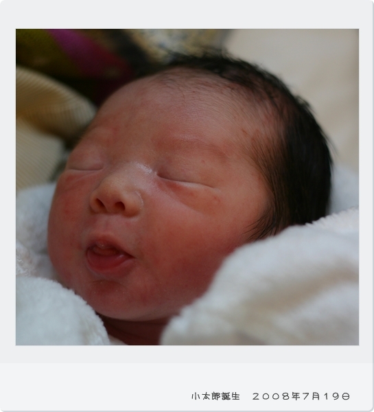 キミと一緒に ～太郎・小太郎・お弁当～