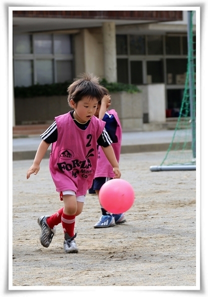 キミと一緒に ～太郎・小太郎・お弁当～