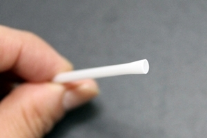 キミと一緒に ～太郎・小太郎・お弁当～