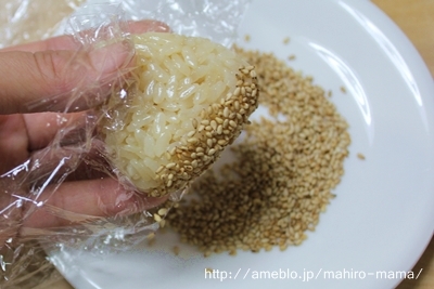 キミと一緒に ～太郎・小太郎・お弁当～