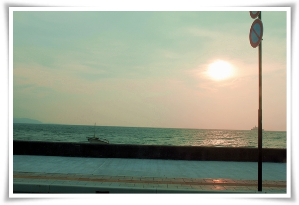 キミと一緒に ～太郎・小太郎・お弁当～