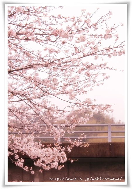 キミと一緒に ～太郎・小太郎・お弁当～