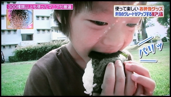 キミと一緒に ～太郎・小太郎・お弁当～