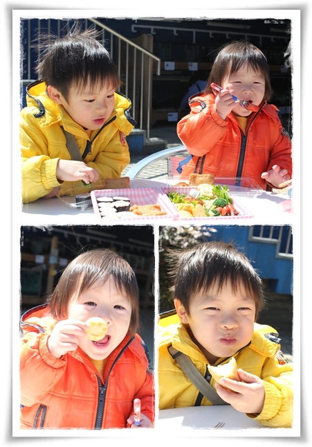 キミと一緒に ～太郎・小太郎・お弁当～