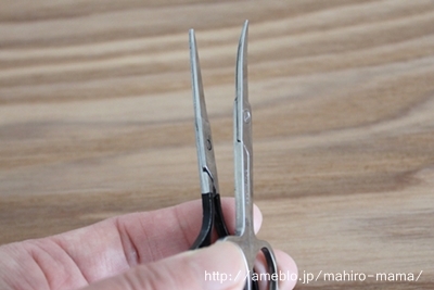 キミと一緒に ～太郎・小太郎・お弁当～