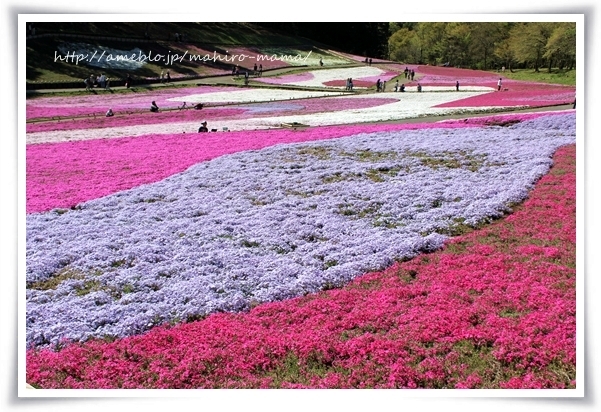 キミと一緒に ~太郎・小太郎・お弁当~