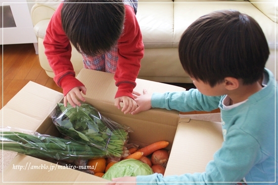 キミと一緒に ～太郎・小太郎・お弁当～