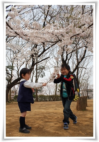 キミと一緒に ～太郎・小太郎・お弁当～