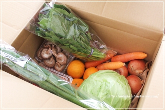 キミと一緒に ～太郎・小太郎・お弁当～