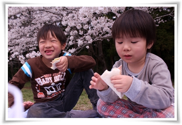 キミと一緒に ～太郎・小太郎・お弁当～