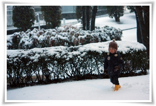 キミと一緒に ～太郎・小太郎・お弁当～
