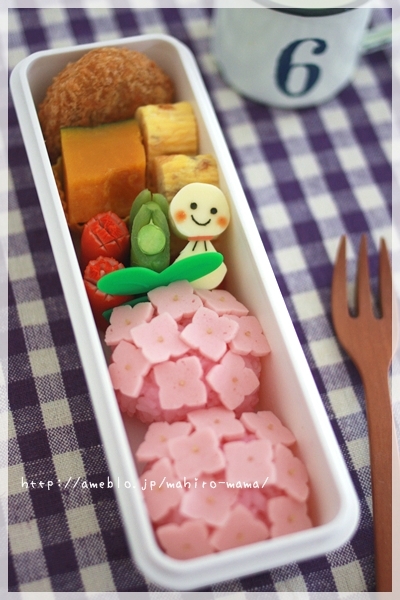 キミと一緒に ～太郎・小太郎・お弁当～