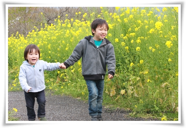 キミと一緒に ～太郎・小太郎・お弁当～