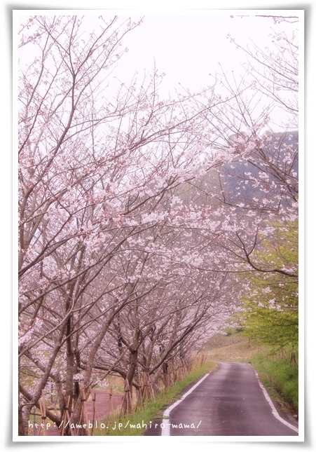 キミと一緒に ～太郎・小太郎・お弁当～