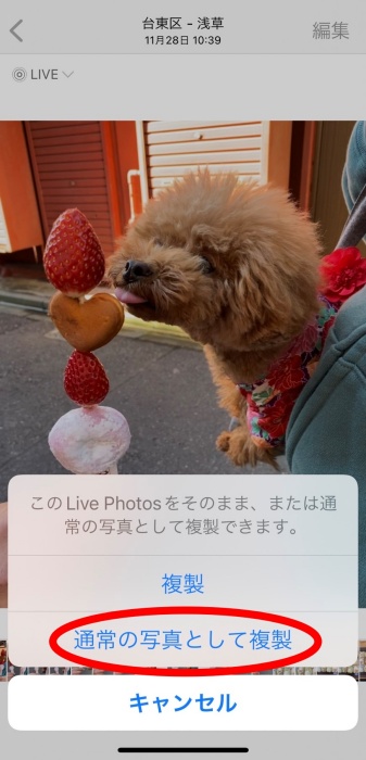S__16023585b