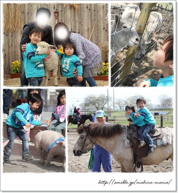 キミと一緒に ～太郎・小太郎・お弁当～