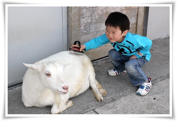 キミと一緒に ～太郎・小太郎・お弁当～
