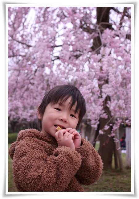 キミと一緒に ~太郎・小太郎・お弁当~