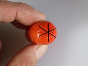 キミと一緒に ～太郎・小太郎・お弁当～