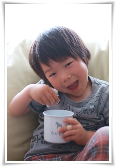 キミと一緒に ～太郎・小太郎・お弁当～