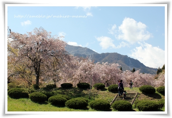 キミと一緒に ~太郎・小太郎・お弁当~