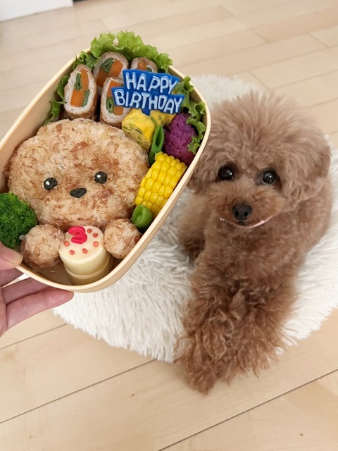 407C5C73-77D4-4FDA-886D-13A3C4345B6D