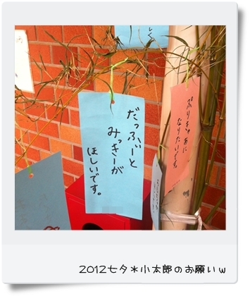 キミと一緒に ～太郎・小太郎・お弁当～